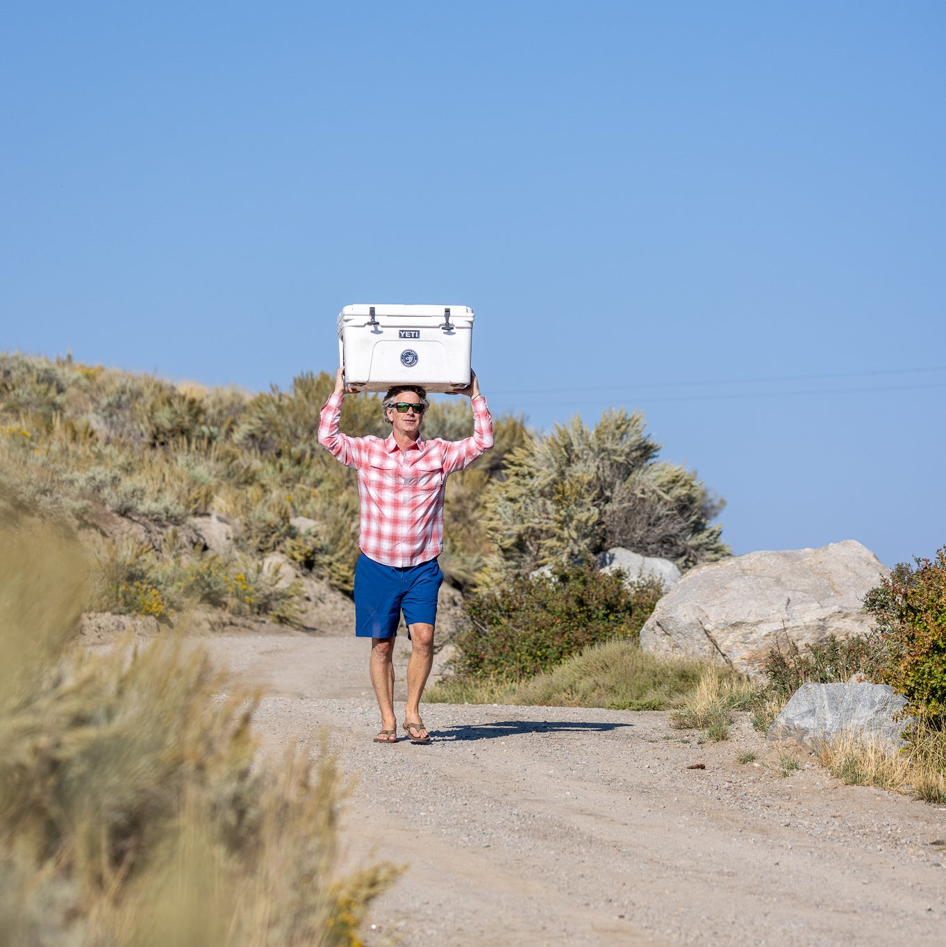 Migration Short